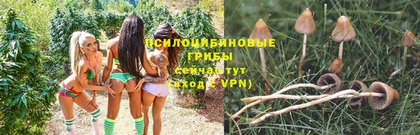 spice Верея