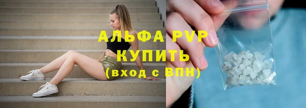 spice Верея