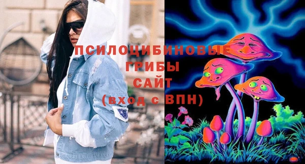 spice Верея