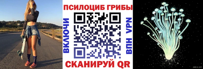 Псилоцибиновые грибы GOLDEN TEACHER  мега рабочий сайт  Каргополь  где купить наркоту 